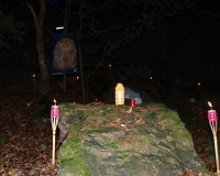 2011-P8108227